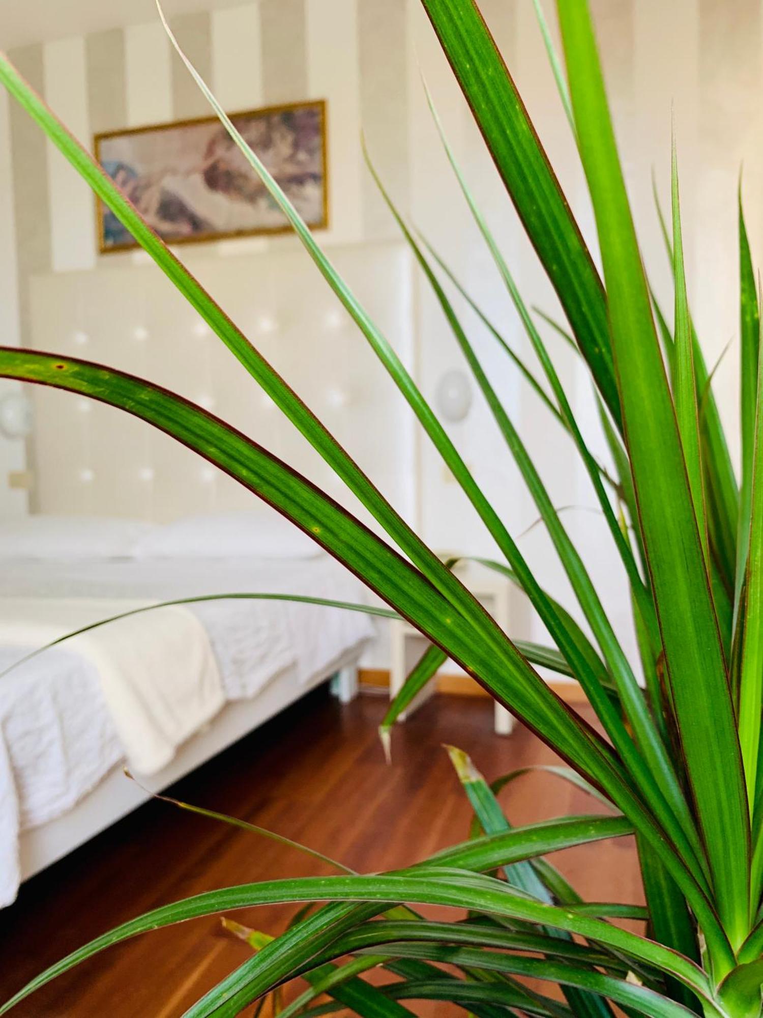 Hotel Baby B&B Milano Marittima Extérieur photo